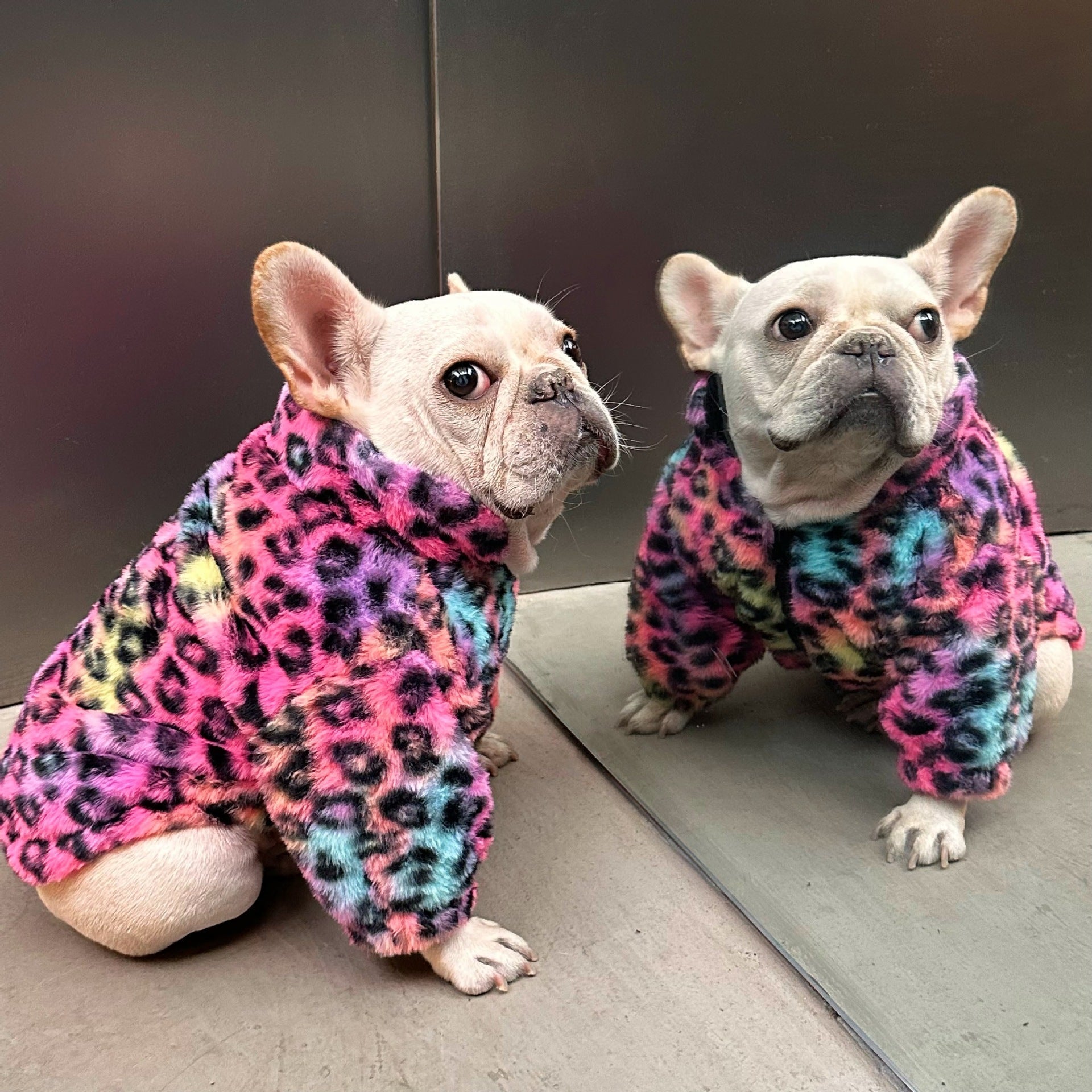 New Style Pet Clothes Colorful Leopard Print Velvet Coat | Luxury Home Accessories | Heulog Glow