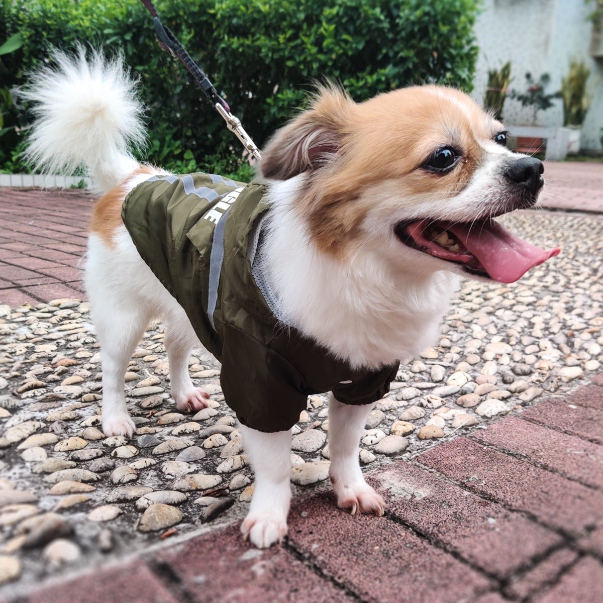 New Style Pet Raincoat With Reflective Strips | Luxury Home Accessories | Heulog Glow