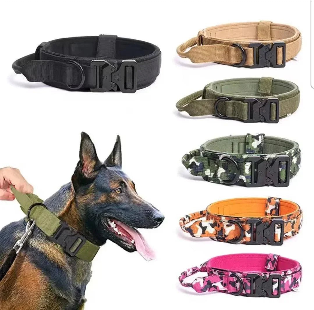 New Tactical Dog Collar | Luxury Home Accessories | Heulog Glow