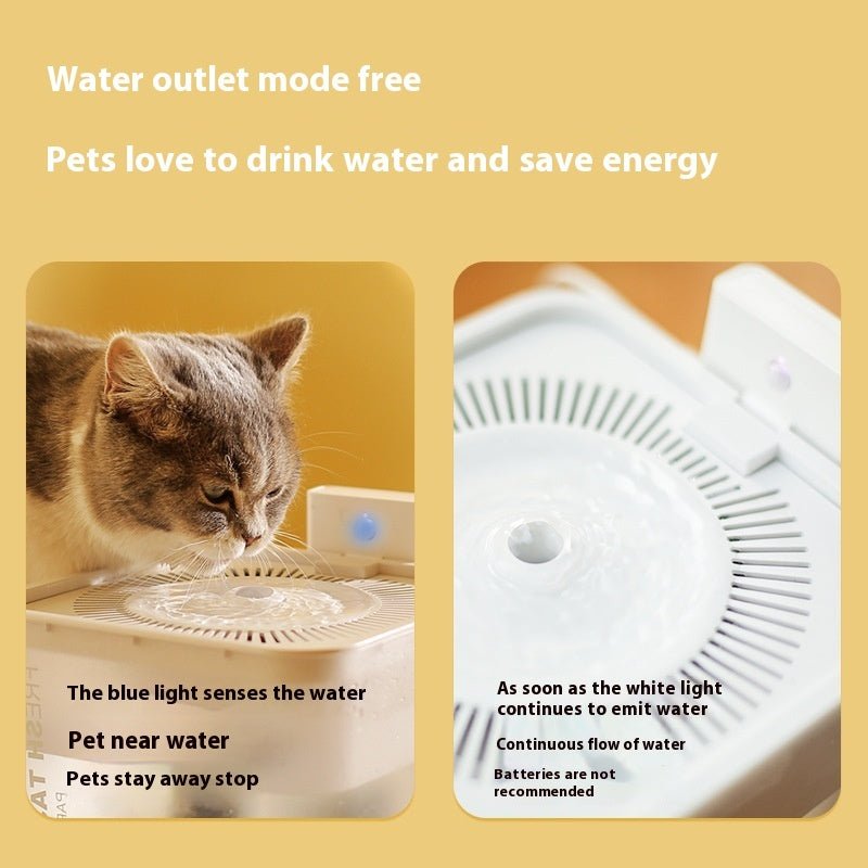 New Wireless Induction Pet Intelligent Water Dispenser | Luxury Home Accessories | Heulog Glow