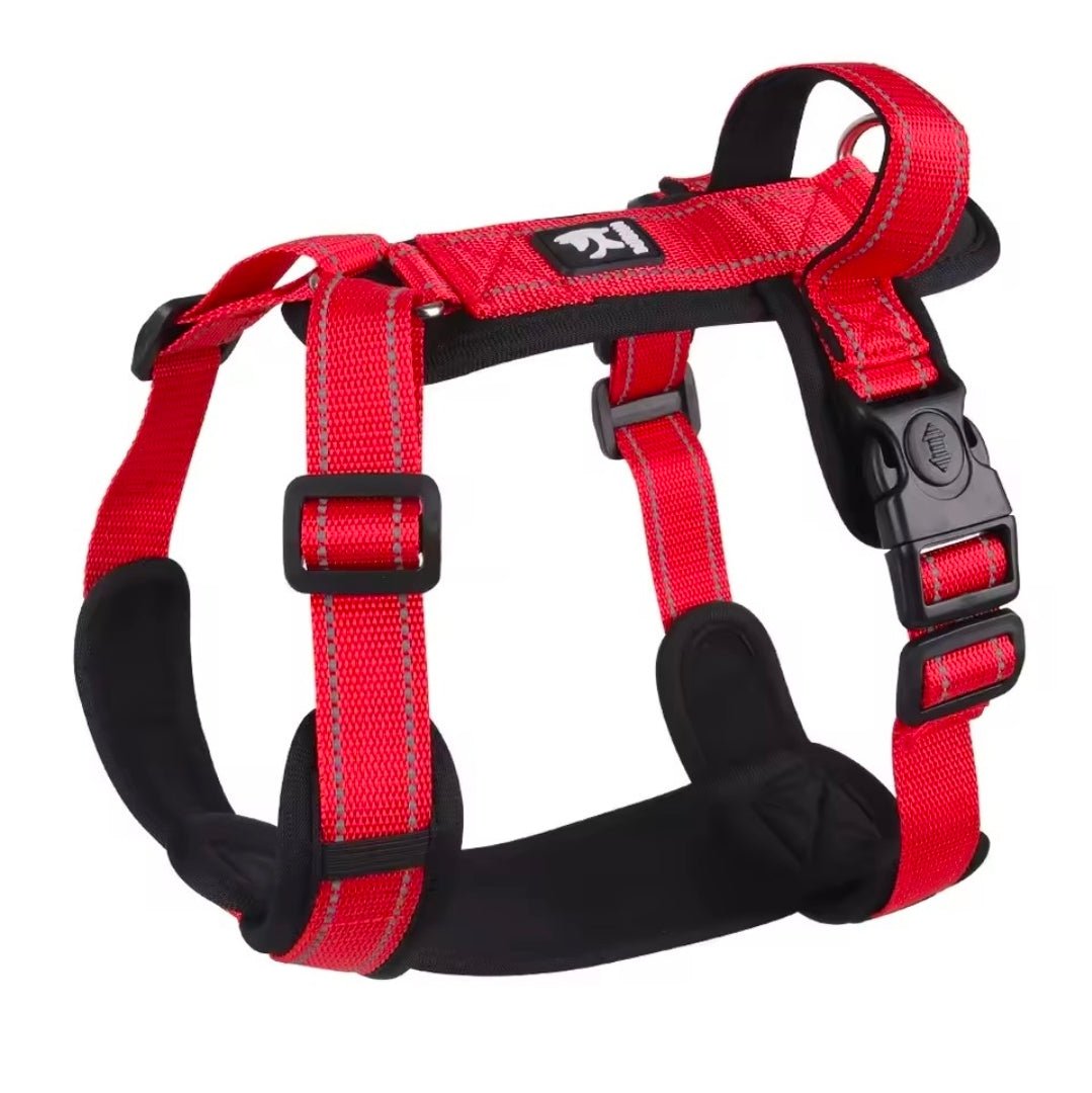 North East Pets Harness Vest | Luxury Home Accessories | Heulog Glow
