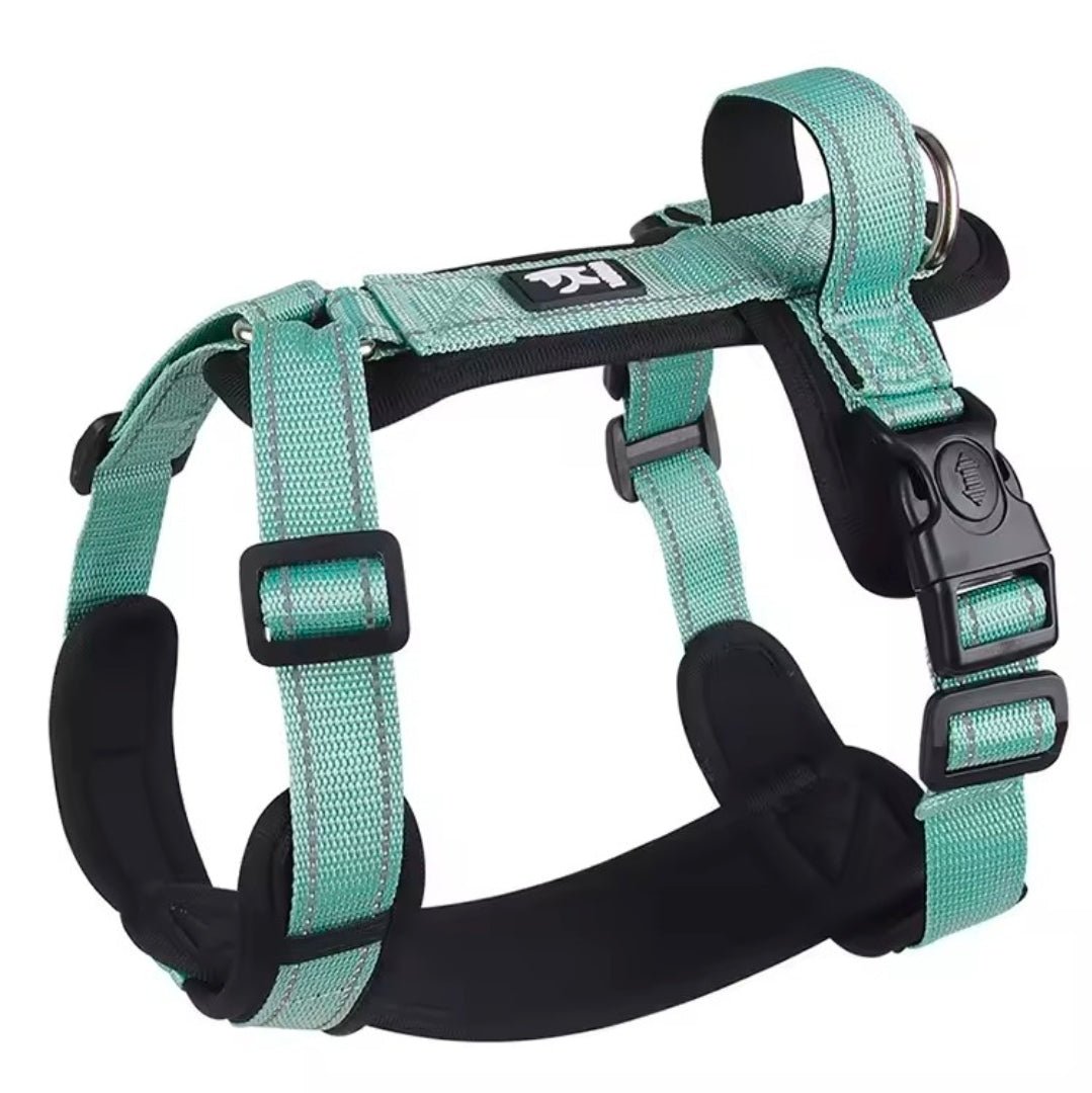 North East Pets Harness Vest | Luxury Home Accessories | Heulog Glow