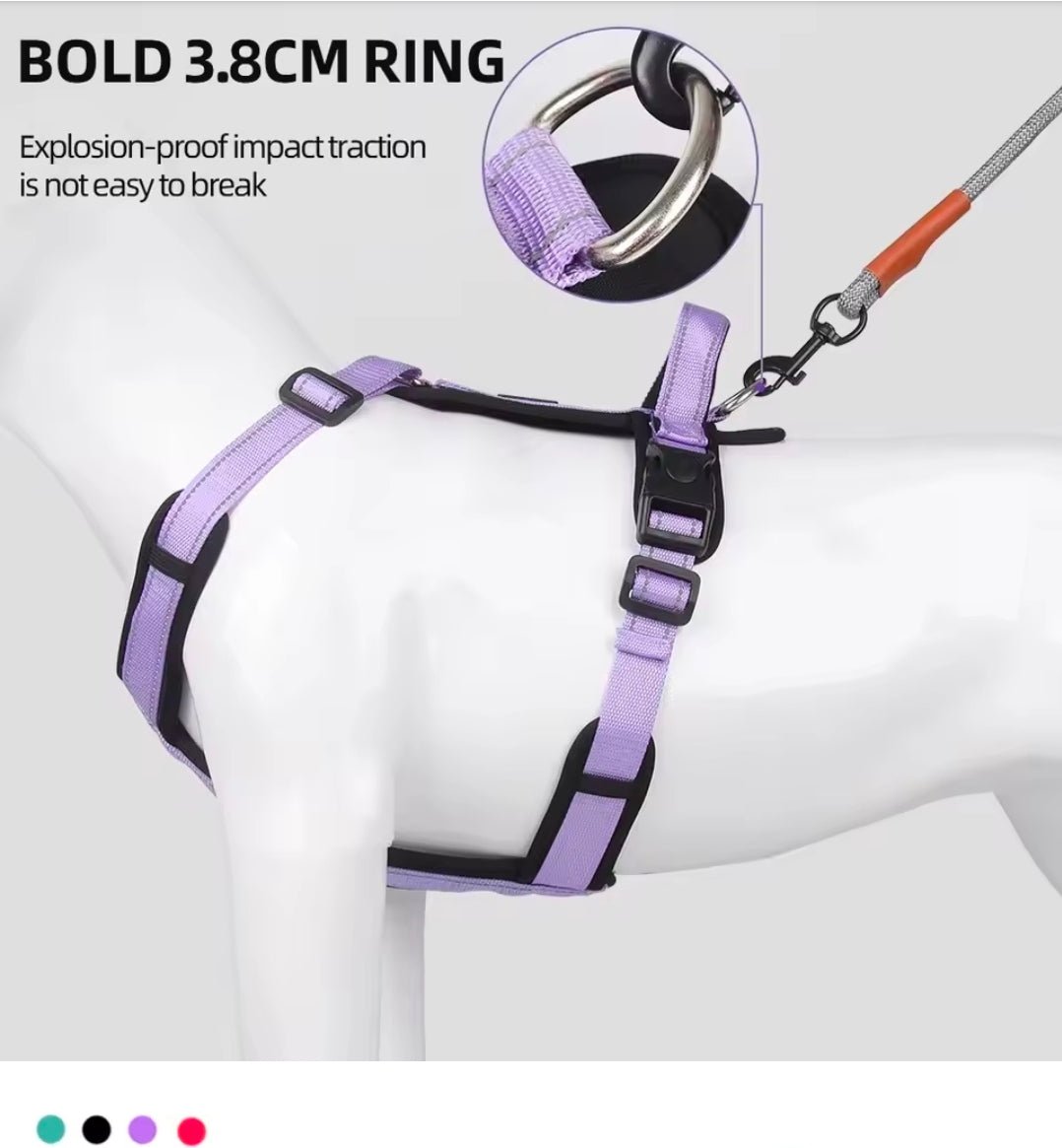 North East Pets Harness Vest | Luxury Home Accessories | Heulog Glow