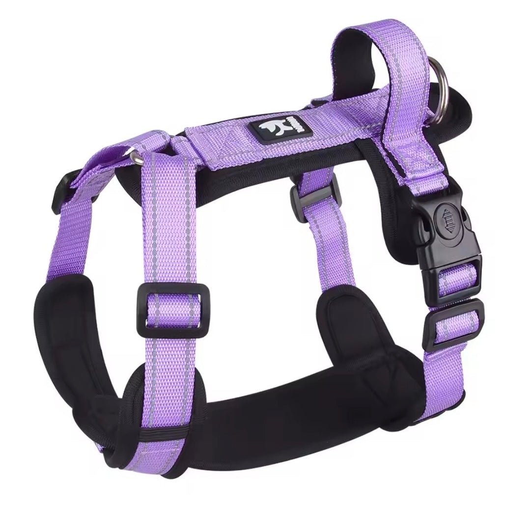 North East Pets Harness Vest | Luxury Home Accessories | Heulog Glow