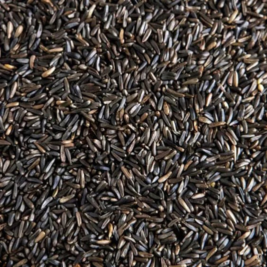 North East Pets Nigerseed 1kg | Luxury Home Accessories | Heulog Glow