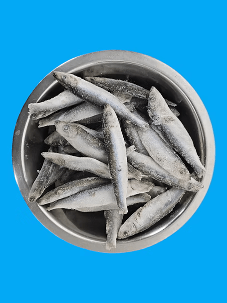 Northern Raw Feeds - Frozen Sprats - 1kg | Luxury Home Accessories | Heulog Glow