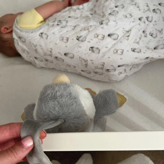 Nuby Penguin Sleep Aid with Cry Sensor | Luxury Home Accessories | Heulog Glow