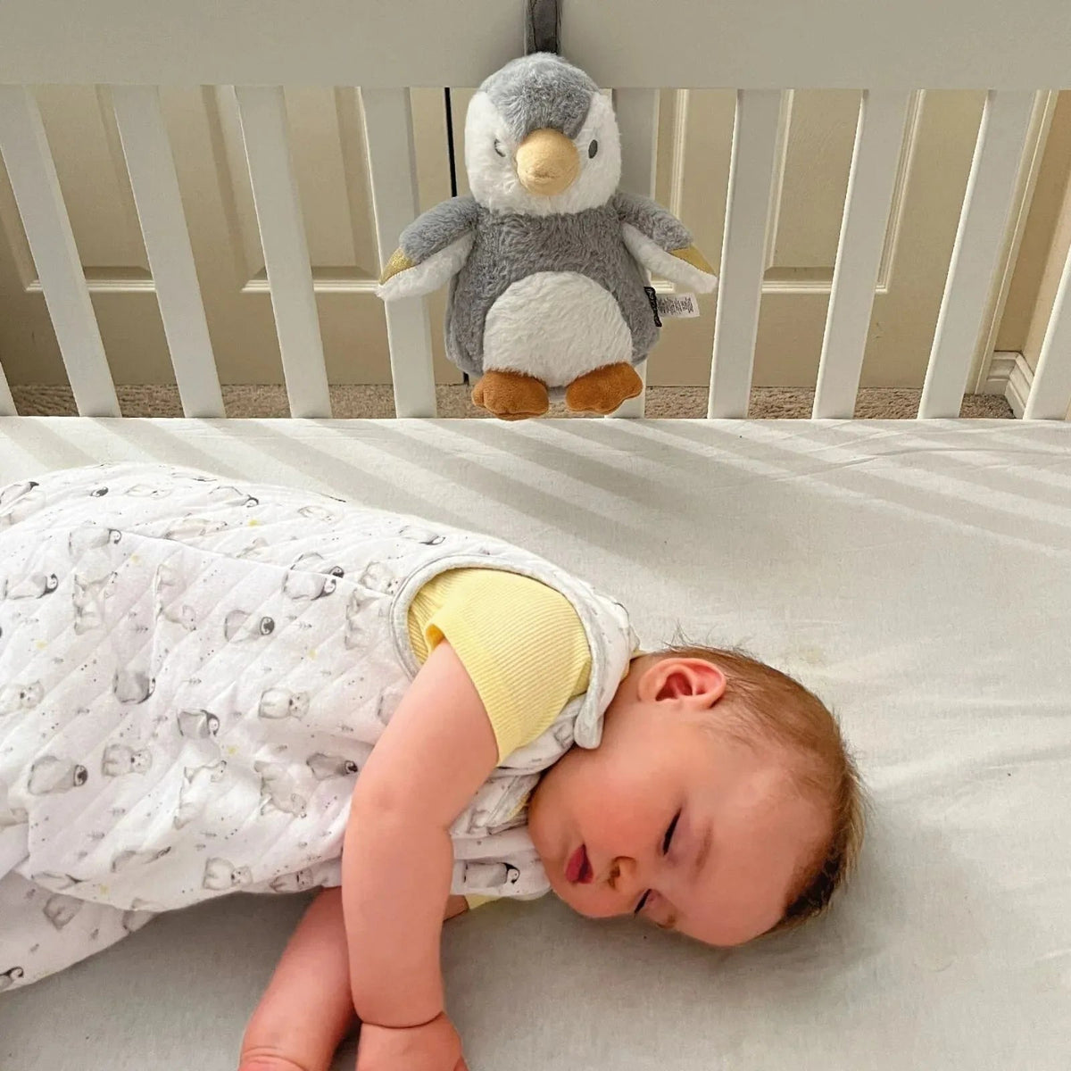 Nuby Penguin Sleep Aid with Cry Sensor | Luxury Home Accessories | Heulog Glow