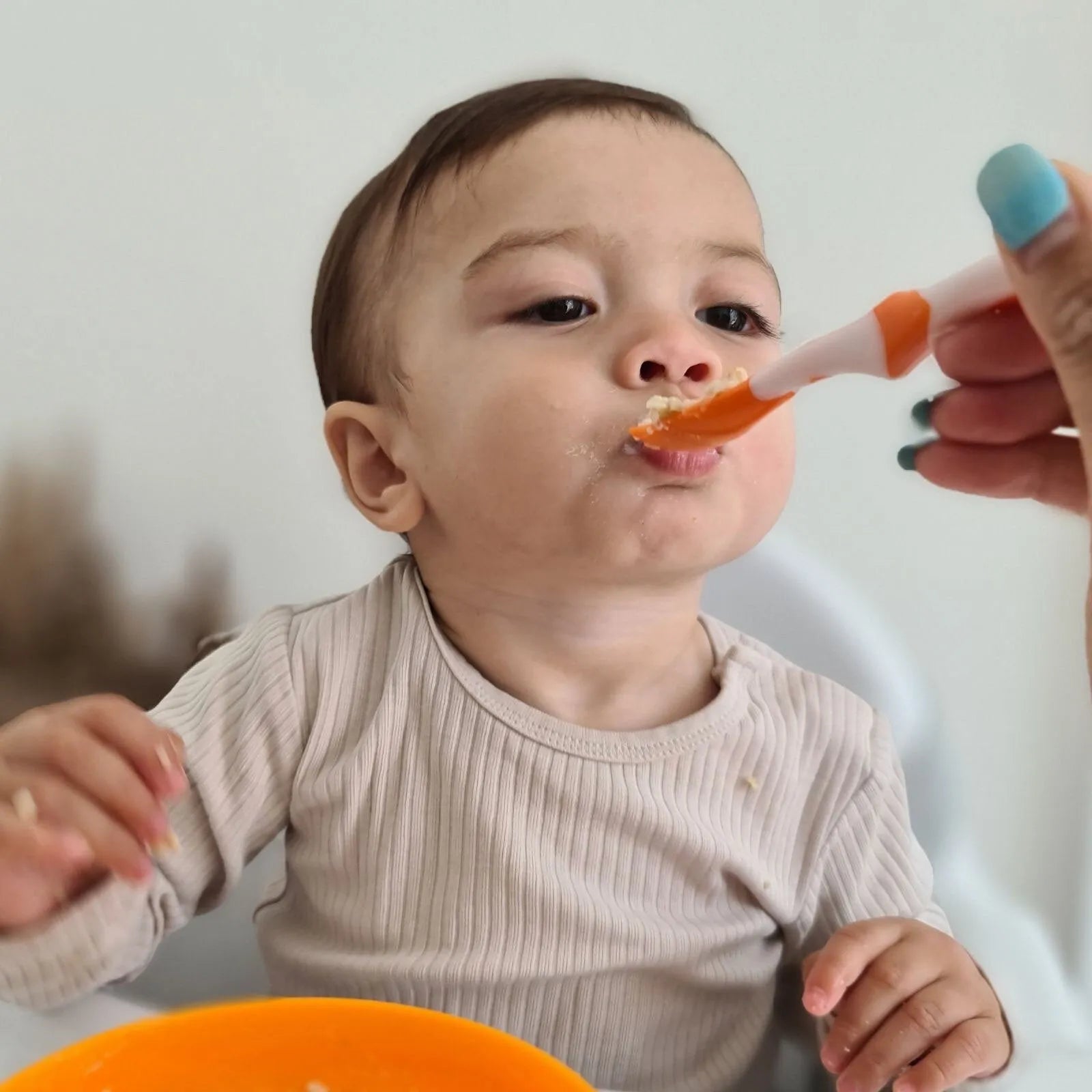 Nuby Weaning Spoons Pack of 6 | Luxury Home Accessories | Heulog Glow