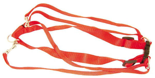 Nylon Gentledog Harness Red 25mm X 55-80cm | Luxury Home Accessories | Heulog Glow