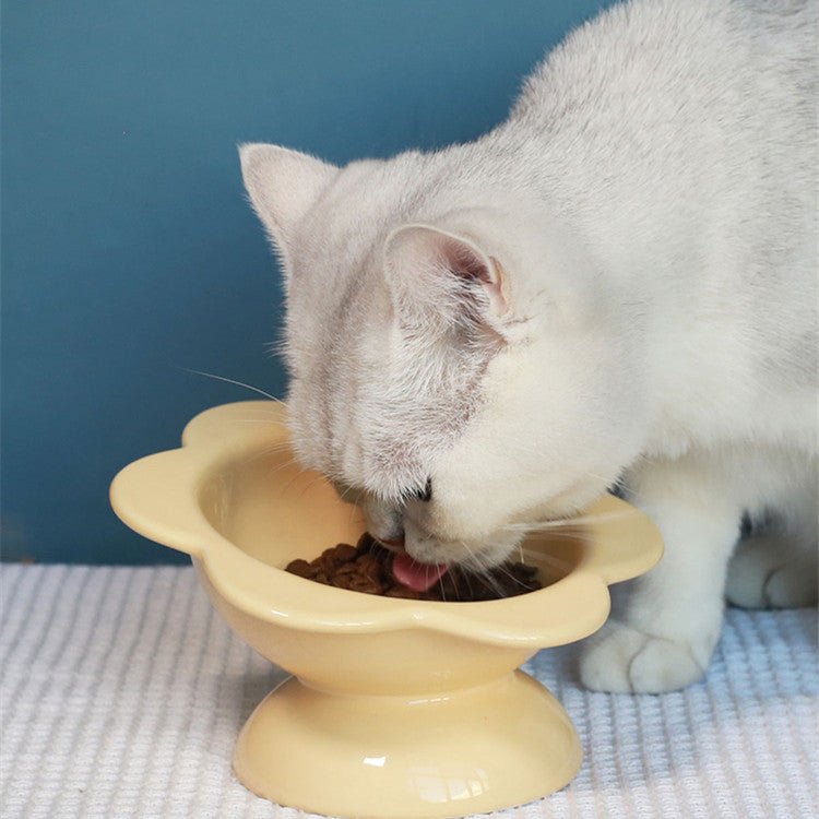 Oblique Mouth High Foot Protection Cervical Spine Pet Bowl | Luxury Home Accessories | Heulog Glow