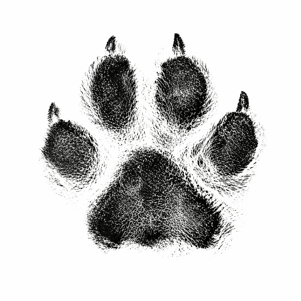 Oh So Precious Paw Print Non-Toxic Ink Pad Standard 12.5cm | Luxury Home Accessories | Heulog Glow