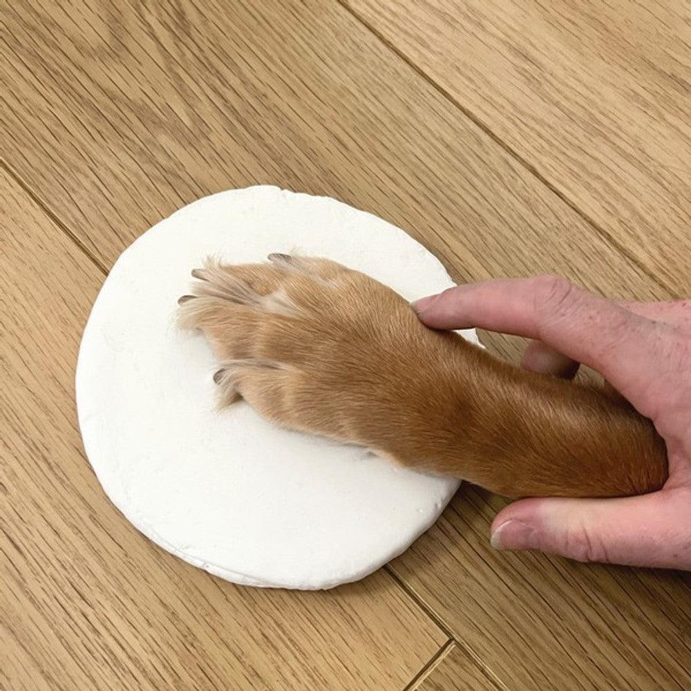 Oh So Precious Pet Paw Clay Moulding Kit | Luxury Home Accessories | Heulog Glow