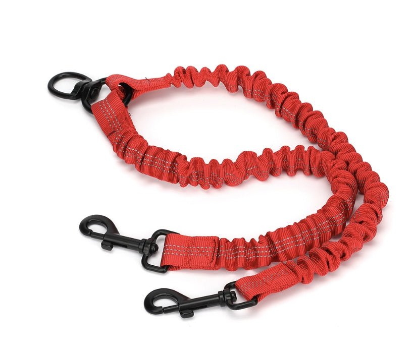 One To Two Double Ends Pet Leash | Luxury Home Accessories | Heulog Glow
