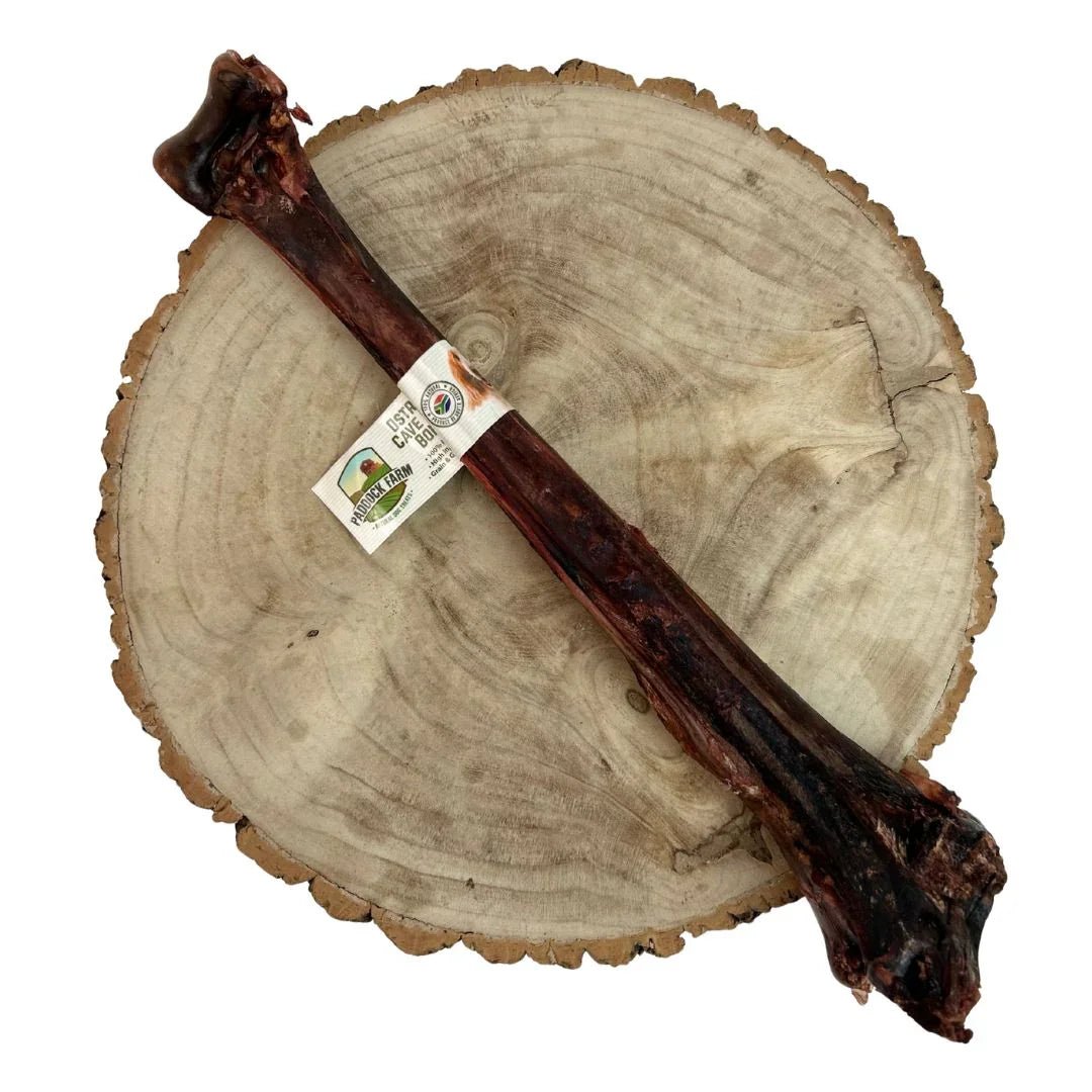 Ostrich Caveman Bone | Luxury Home Accessories | Heulog Glow