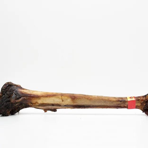 Ostrich Caveman Bone | Luxury Home Accessories | Heulog Glow