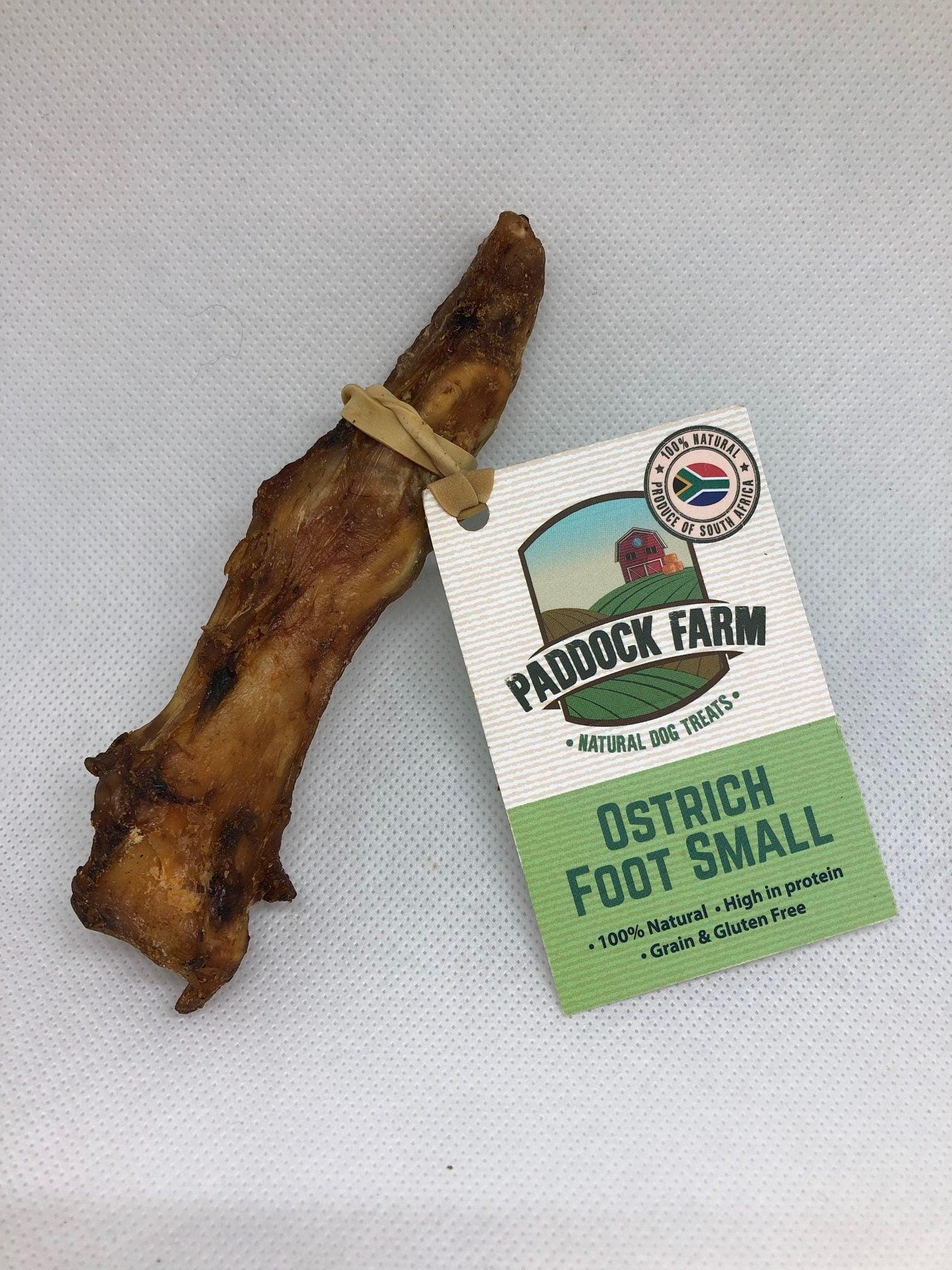 Ostrich Foot Small | Luxury Home Accessories | Heulog Glow