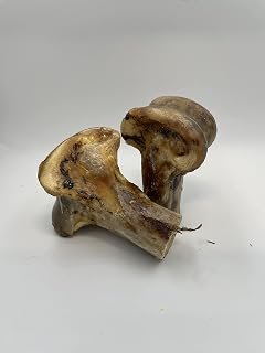 Ostrich Knuckle Large | Luxury Home Accessories | Heulog Glow