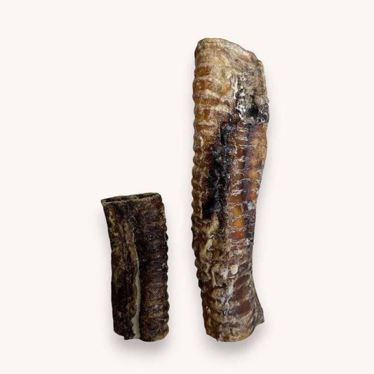 Ostrich Trachea | Luxury Home Accessories | Heulog Glow
