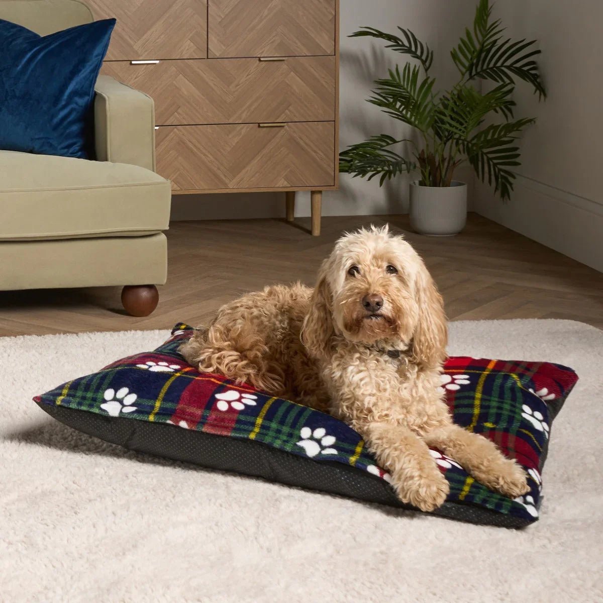 Oxford Paw Print Pet Bed - Navy/Red | Luxury Home Accessories | Heulog Glow