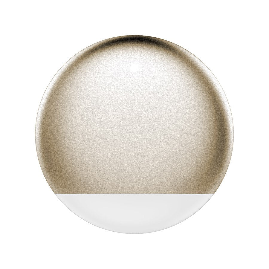 P2 Pet Activity Monitor Gold | Luxury Home Accessories | Heulog Glow