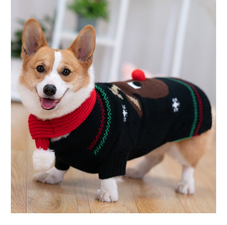 Padded Coat Pet Padded Winter Shiba | Luxury Home Accessories | Heulog Glow