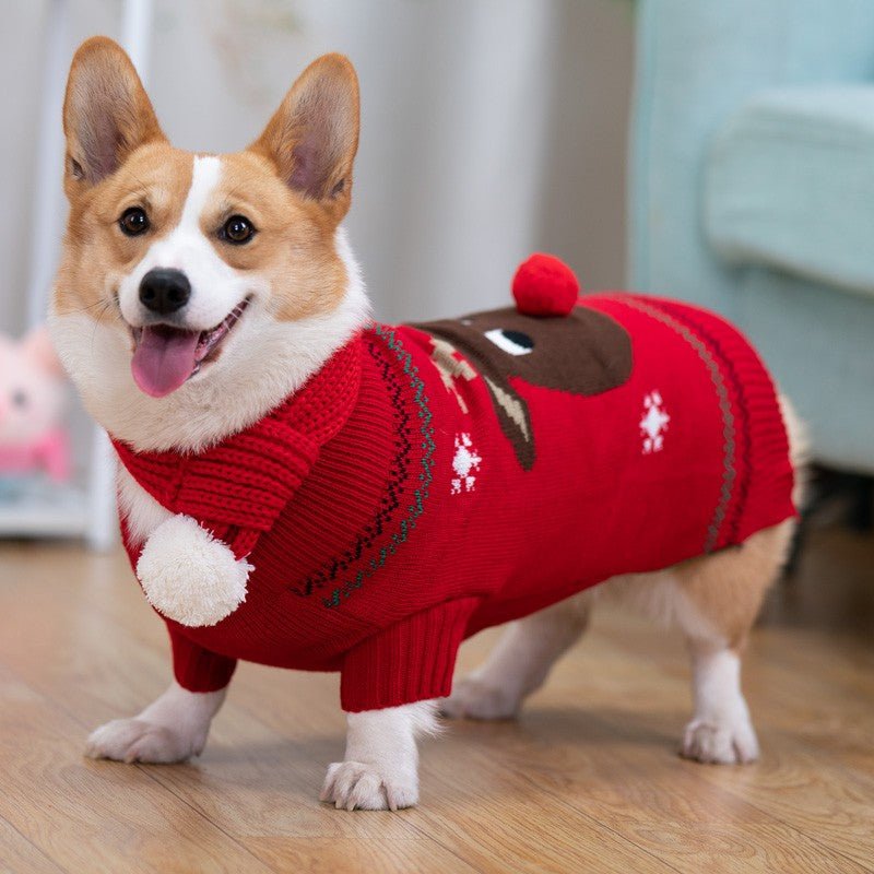 Padded Coat Pet Padded Winter Shiba | Luxury Home Accessories | Heulog Glow
