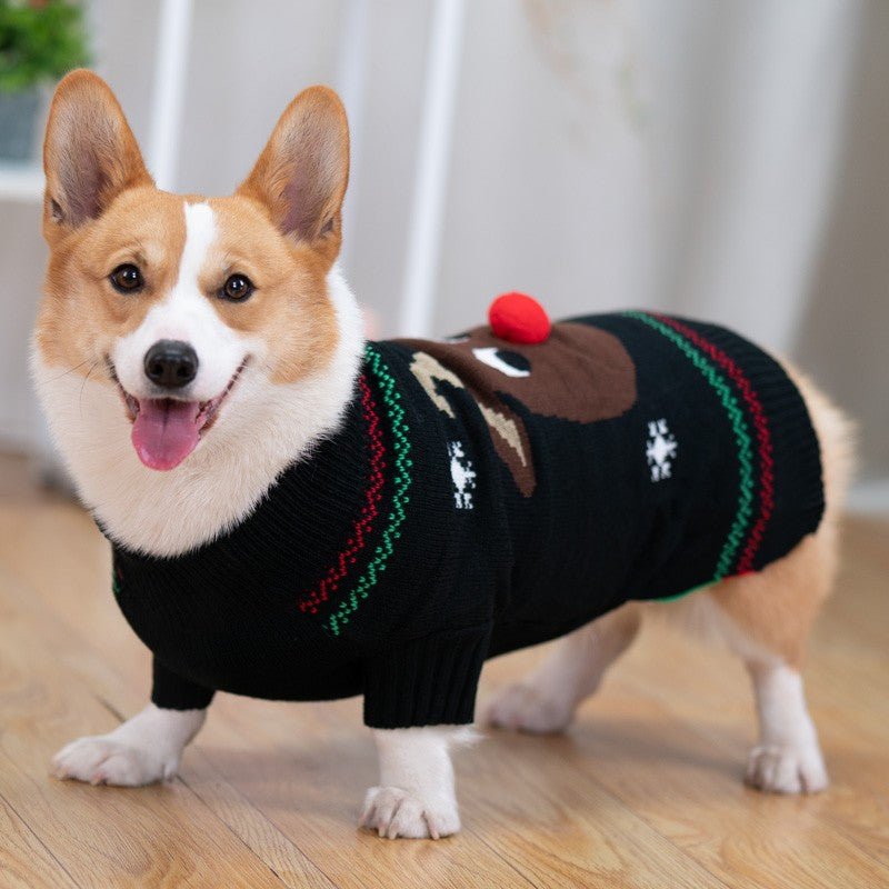 Padded Coat Pet Padded Winter Shiba | Luxury Home Accessories | Heulog Glow