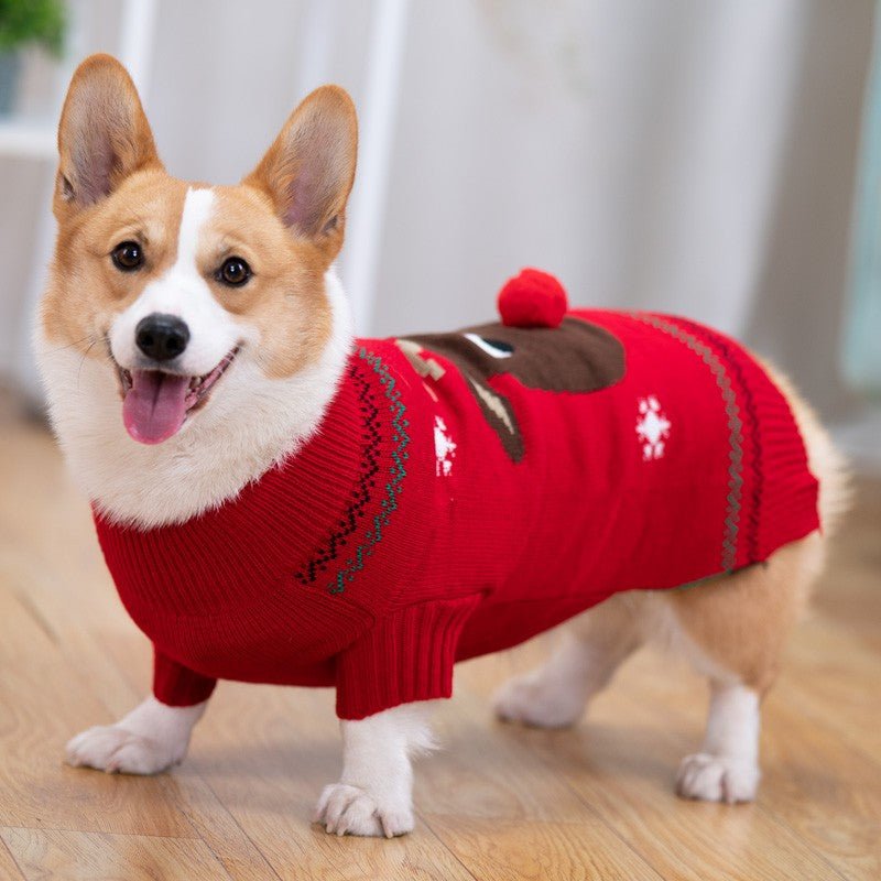 Padded Coat Pet Padded Winter Shiba | Luxury Home Accessories | Heulog Glow