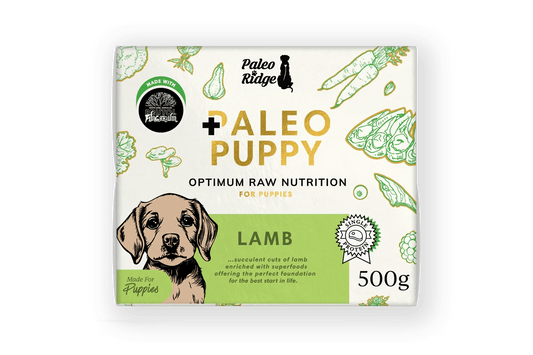 Paleo Ridge Paleo Puppy Lamb 500g | Luxury Home Accessories | Heulog Glow