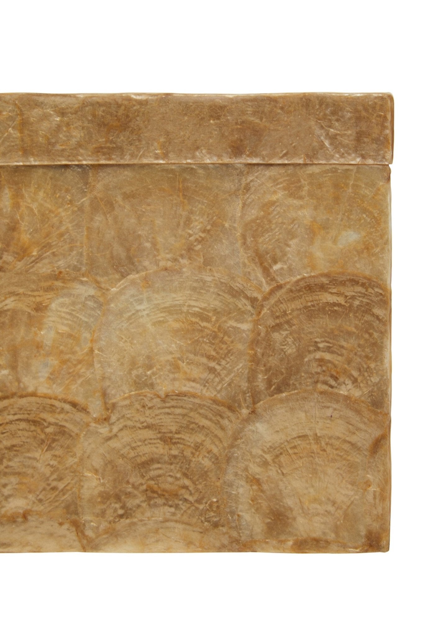 Palu Beige Seashell Square Tissue Box | Luxury Home Accessories | Heulog Glow