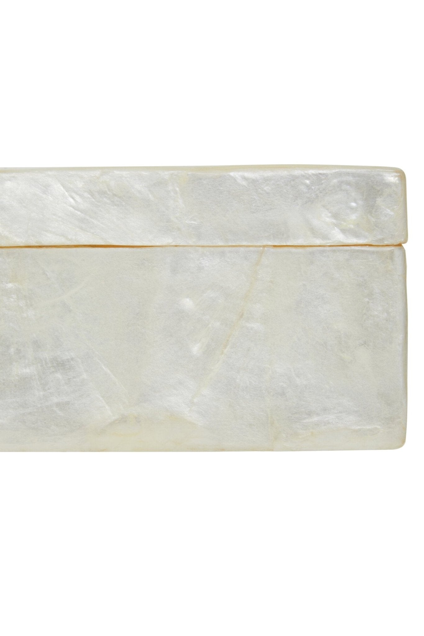 Palu White Sea Shell Tissue Box | Luxury Home Accessories | Heulog Glow