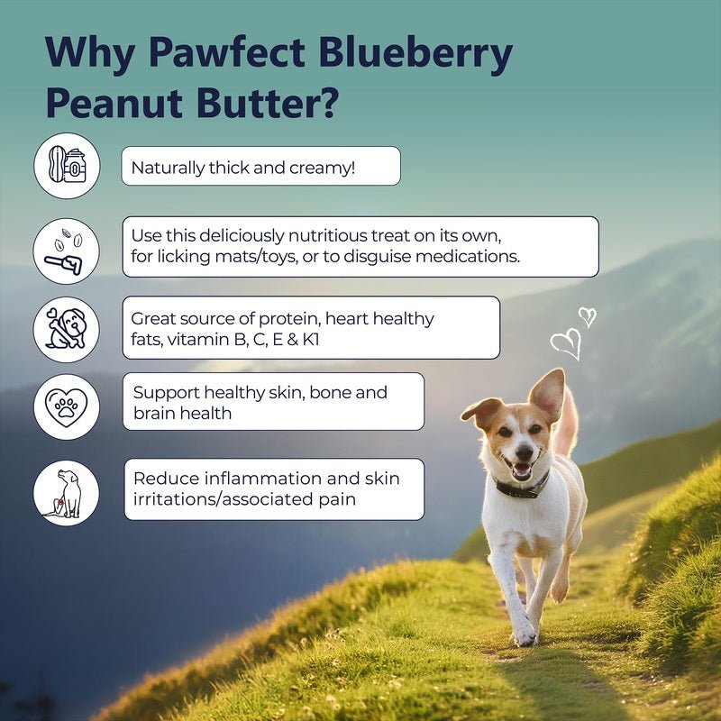 Pawfect Peanut Butter with Blueberry & Hemp Seeds 275g | Luxury Home Accessories | Heulog Glow