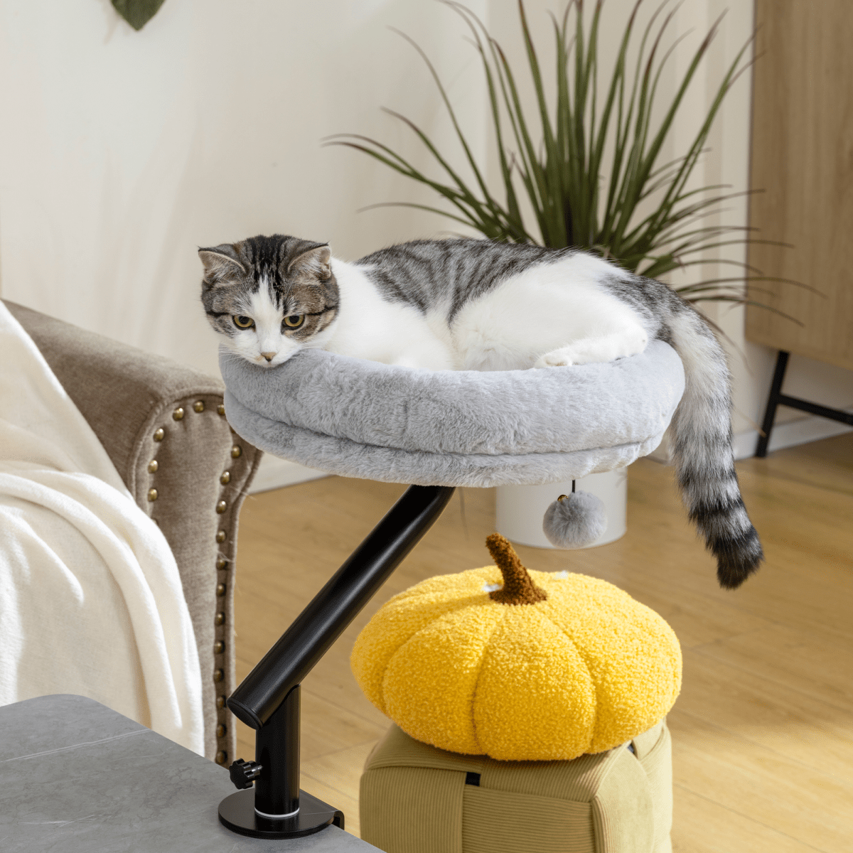 PawHut Cat Bed for Desk, 360° Rotatable Adjustable Cat Nest Hammock | Luxury Home Accessories | Heulog Glow