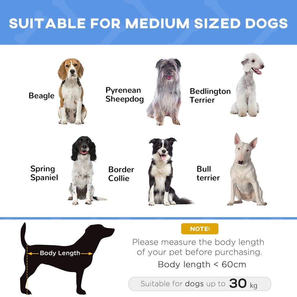PawHut Portable Elevated Pet Bed to Raise Relax Area for Dogs and Cats with Metal Frame (Large) | Luxury Home Accessories | Heulog Glow