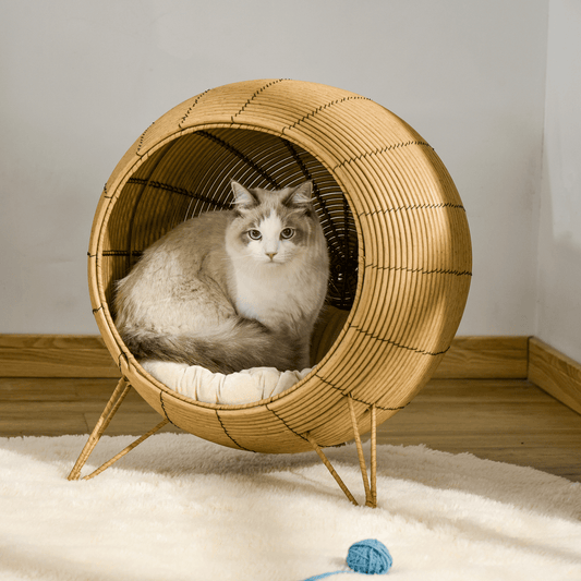 PawHut Wicker Cat Bed Elevated Rattan Kitten Basket Cozy Cave w/ Soft Cushion | Luxury Home Accessories | Heulog Glow