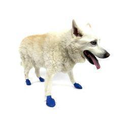 Pawz Dog Rubber Boots | Luxury Home Accessories | Heulog Glow