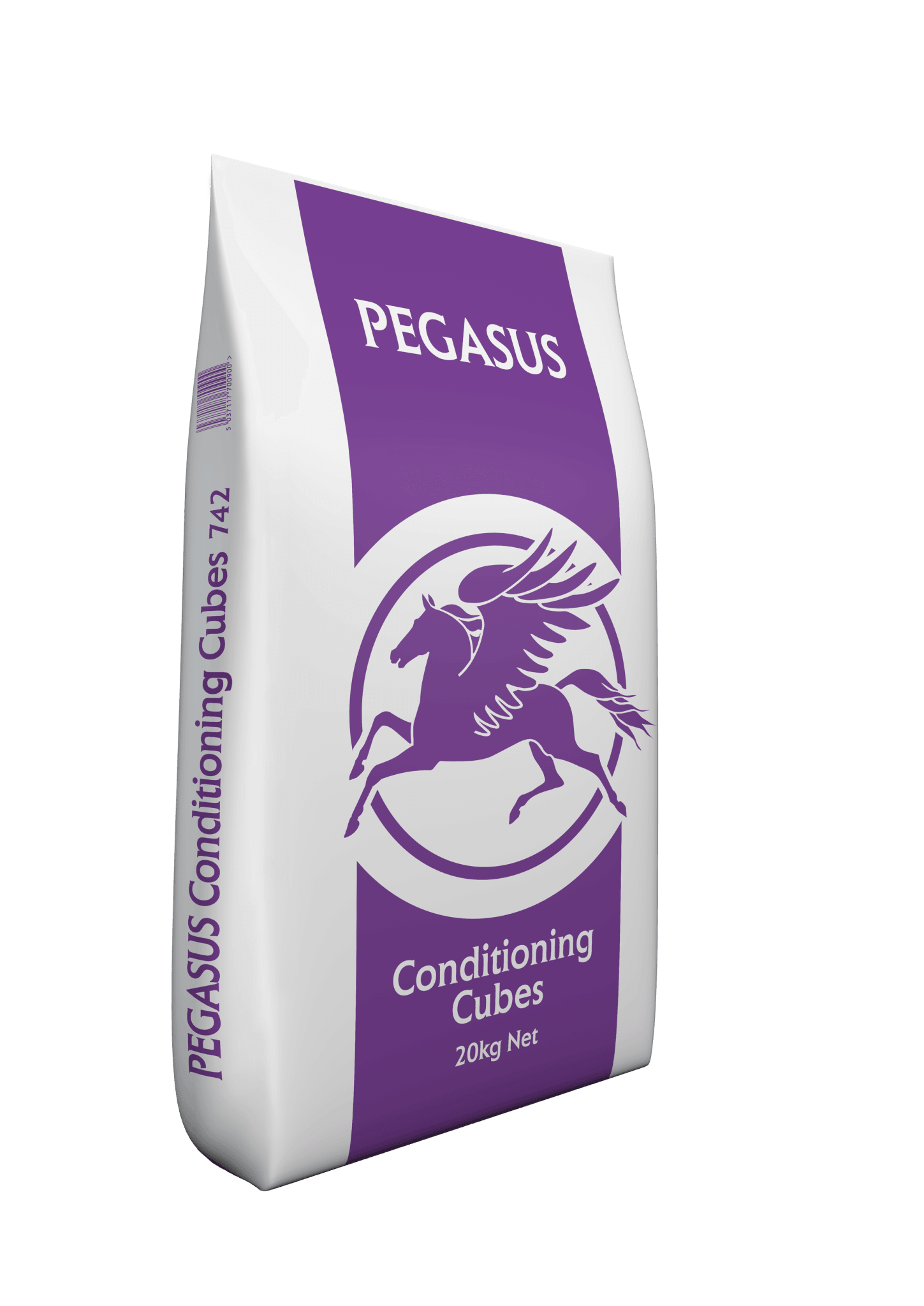 Pegasus Conditioning Cubes | Luxury Home Accessories | Heulog Glow