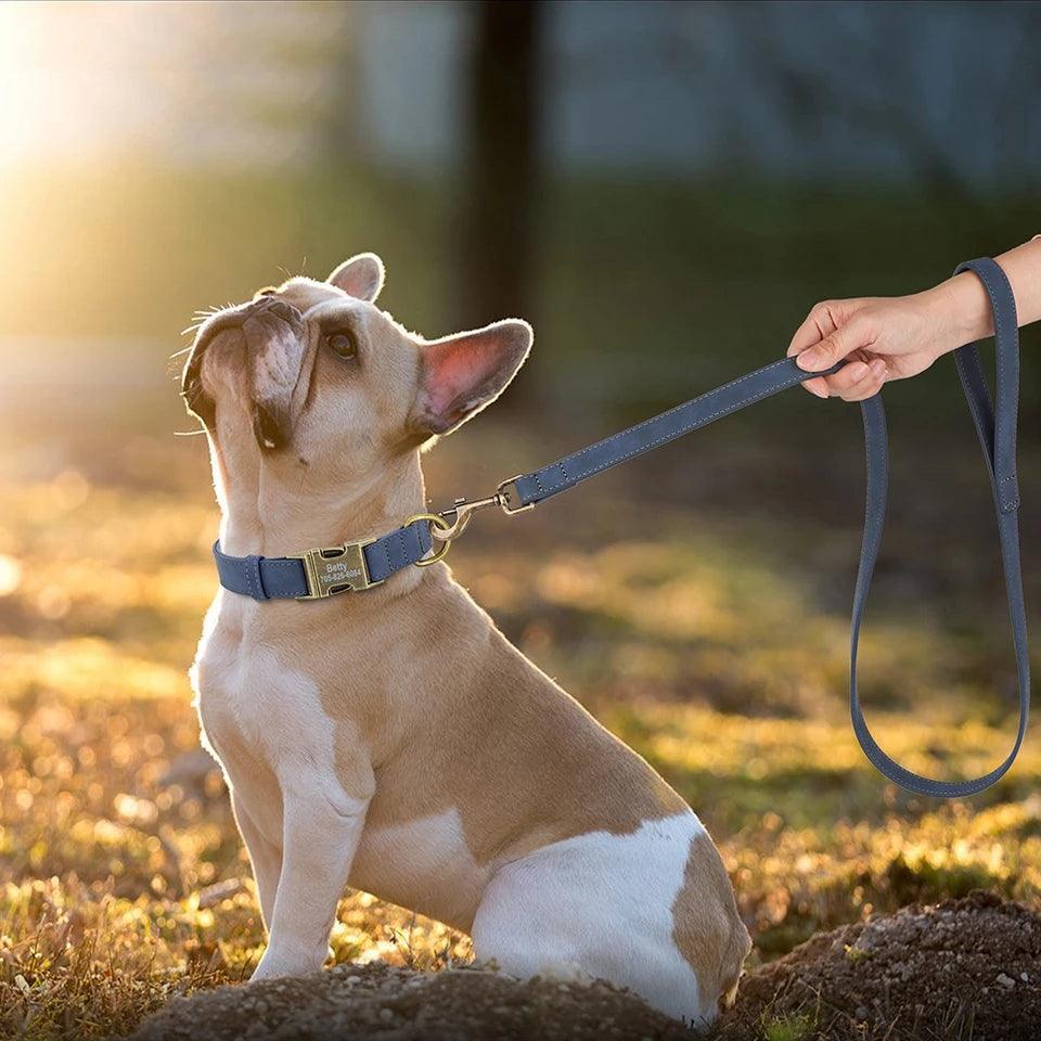 Personalised Dog Collar and Leash Set - Leather | Luxury Home Accessories | Heulog Glow