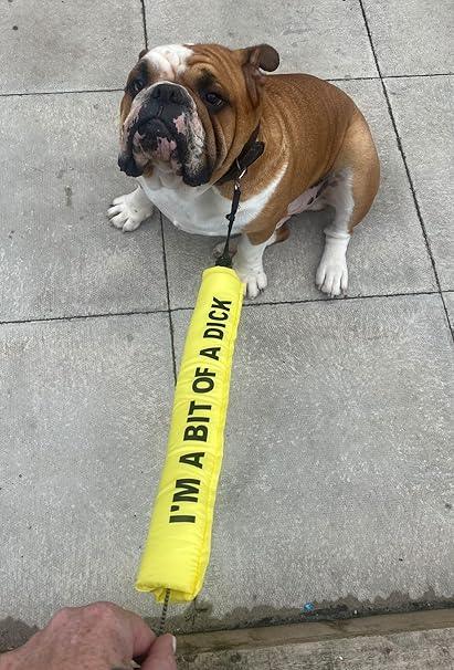 Personalised Dog Lead Sleeve | Luxury Home Accessories | Heulog Glow