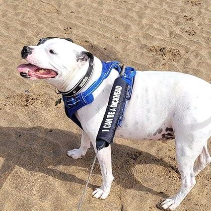 Personalised Dog Lead Sleeve | Luxury Home Accessories | Heulog Glow