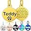 Personalised Pet Tag - Stainless Steel - Scratch Resistant | Luxury Home Accessories | Heulog Glow