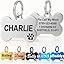 Personalised Pet Tag - Stainless Steel - Scratch Resistant | Luxury Home Accessories | Heulog Glow