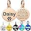 Personalised Pet Tag - Stainless Steel - Scratch Resistant | Luxury Home Accessories | Heulog Glow