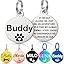 Personalised Pet Tag - Stainless Steel - Scratch Resistant | Luxury Home Accessories | Heulog Glow