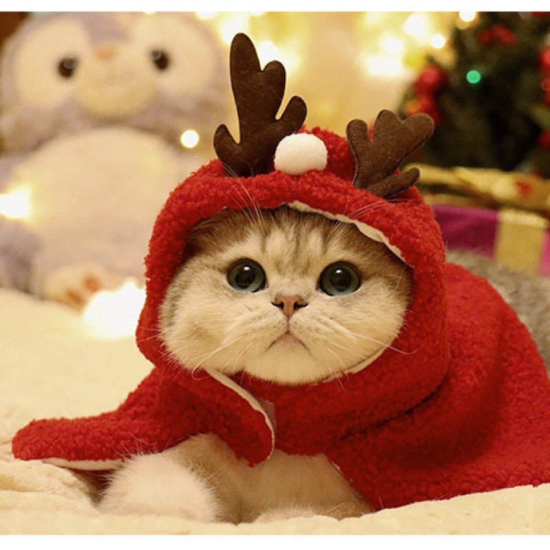 Pet Autumn And Winter Warm Antlers Hat Cloak | Luxury Home Accessories | Heulog Glow