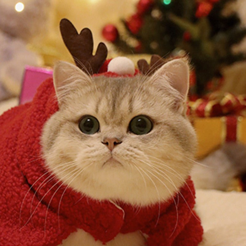 Pet Autumn And Winter Warm Antlers Hat Cloak | Luxury Home Accessories | Heulog Glow