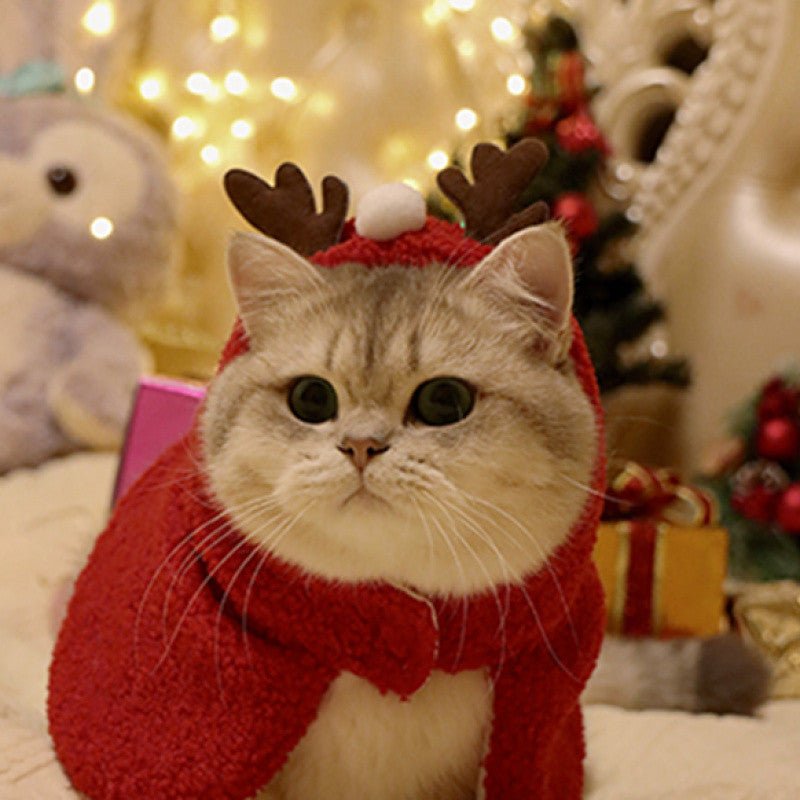 Pet Autumn And Winter Warm Antlers Hat Cloak | Luxury Home Accessories | Heulog Glow
