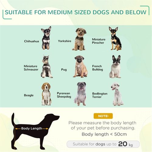 Pet Bed | Luxury Home Accessories | Heulog Glow