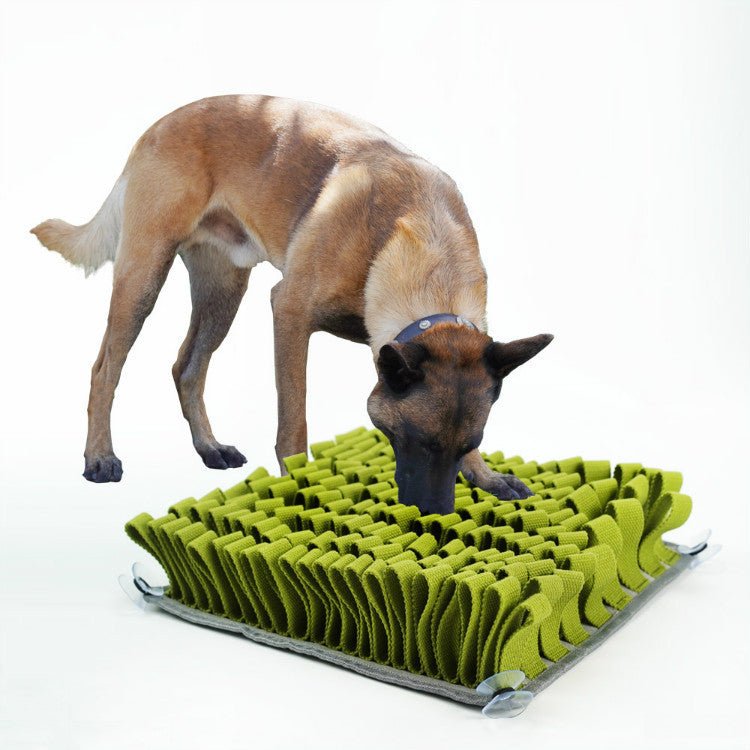 Pet Bite-Resistant Slow Food Toy Training Dogs Sniff Pads Anti-Choking Free Energy Treasure Hunting Blanket | Luxury Home Accessories | Heulog Glow